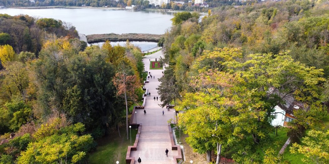 A tree-lined path and a river seen from above in autumn
